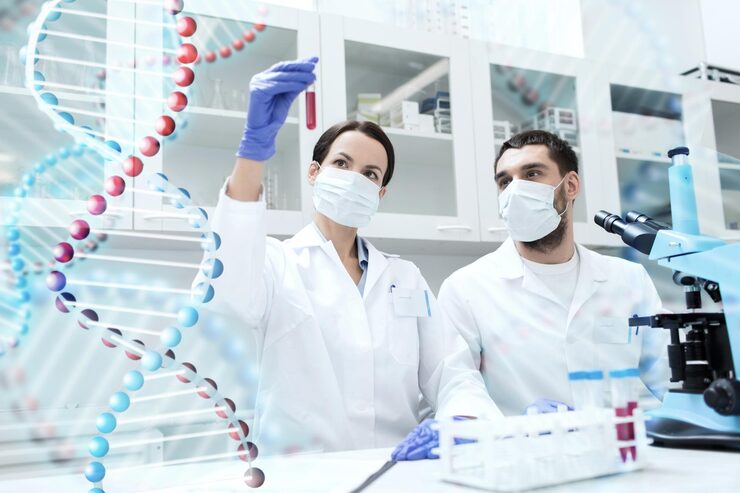 lab